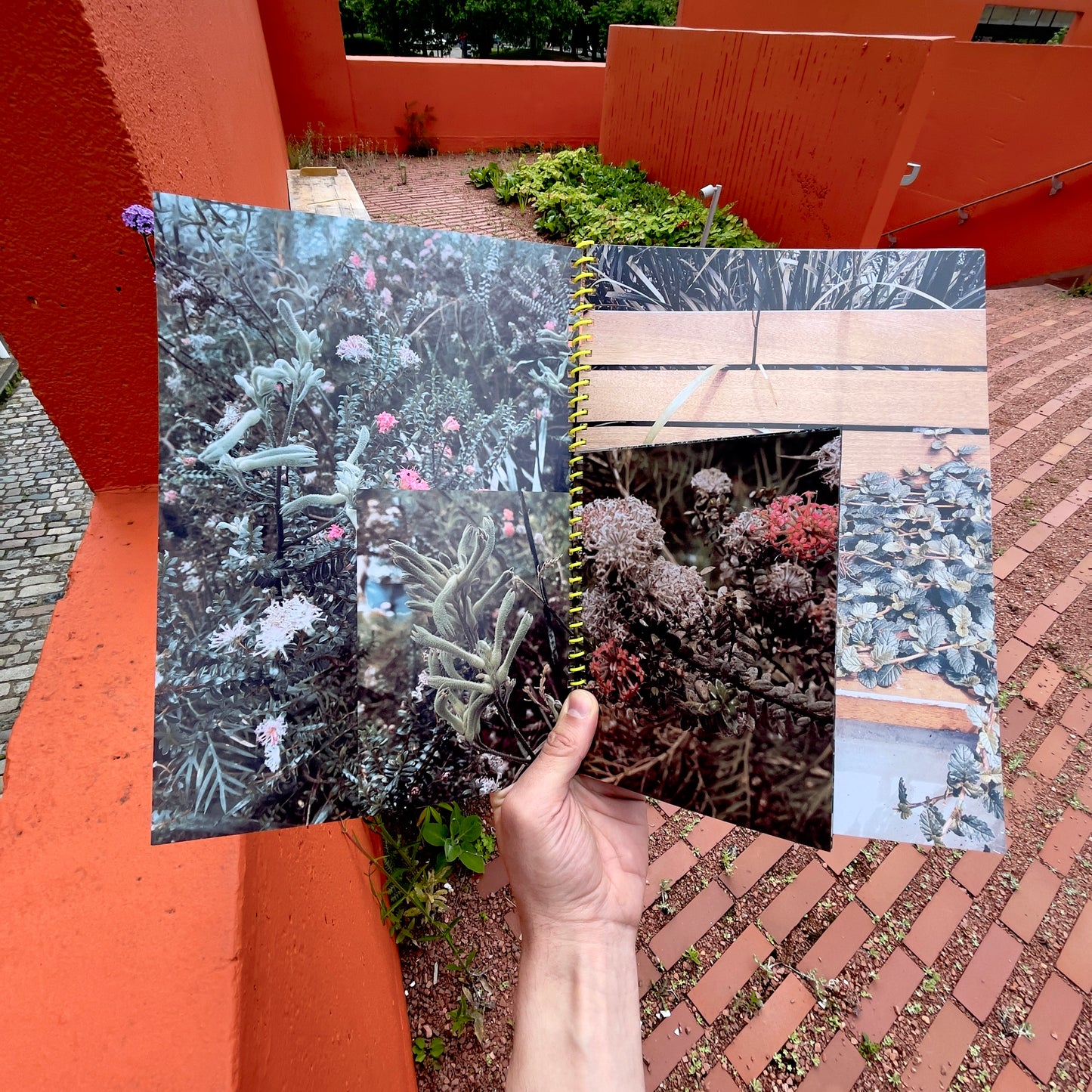 More Plants, Less Pricks