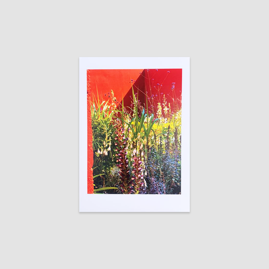 LAVENDER HONEY SALT Greetings Cards