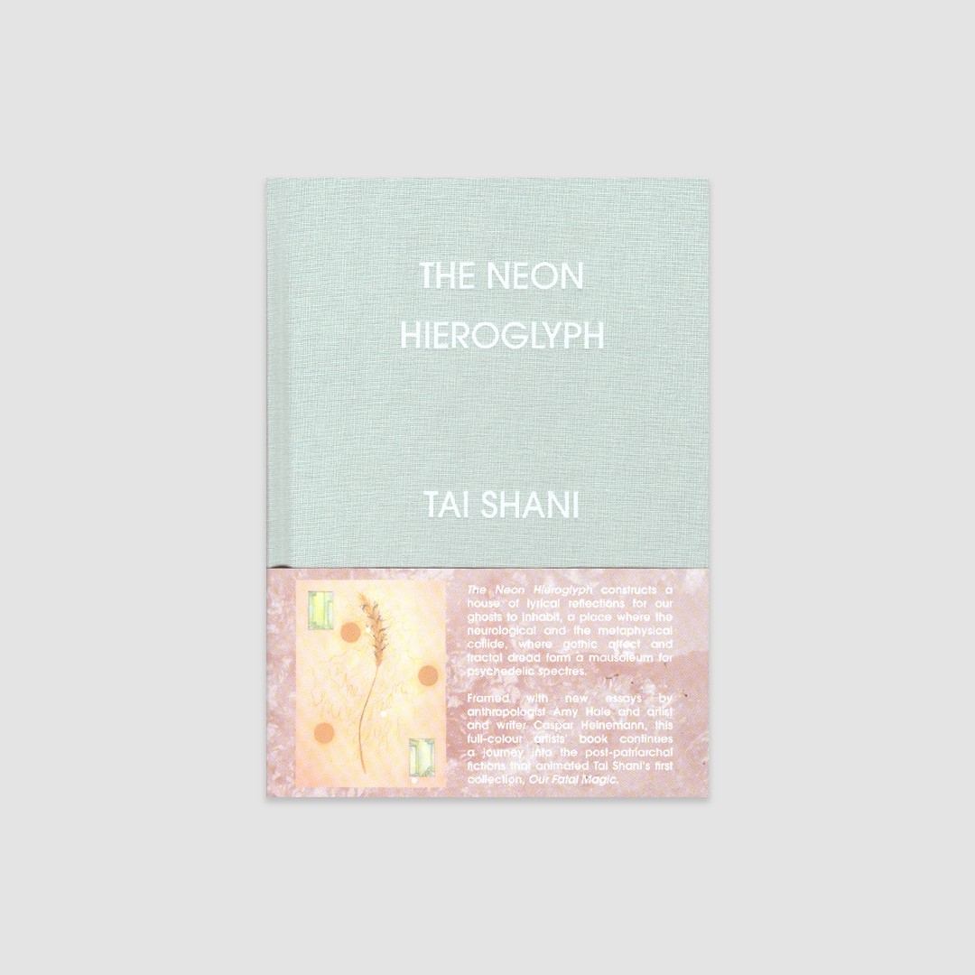 The Neon Hieroglyph