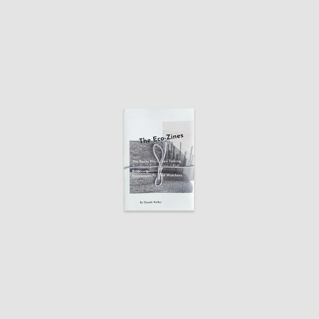 The Eco-Zines