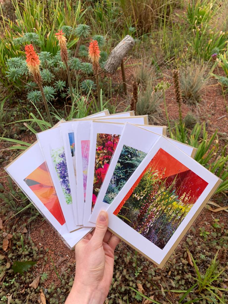 LAVENDER HONEY SALT Greetings Cards