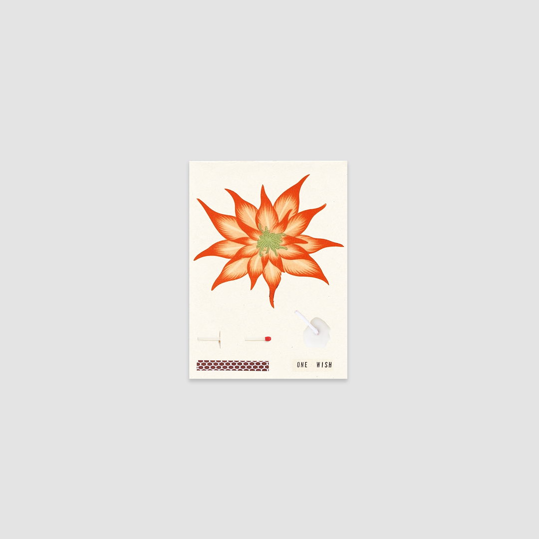 Wish Cards