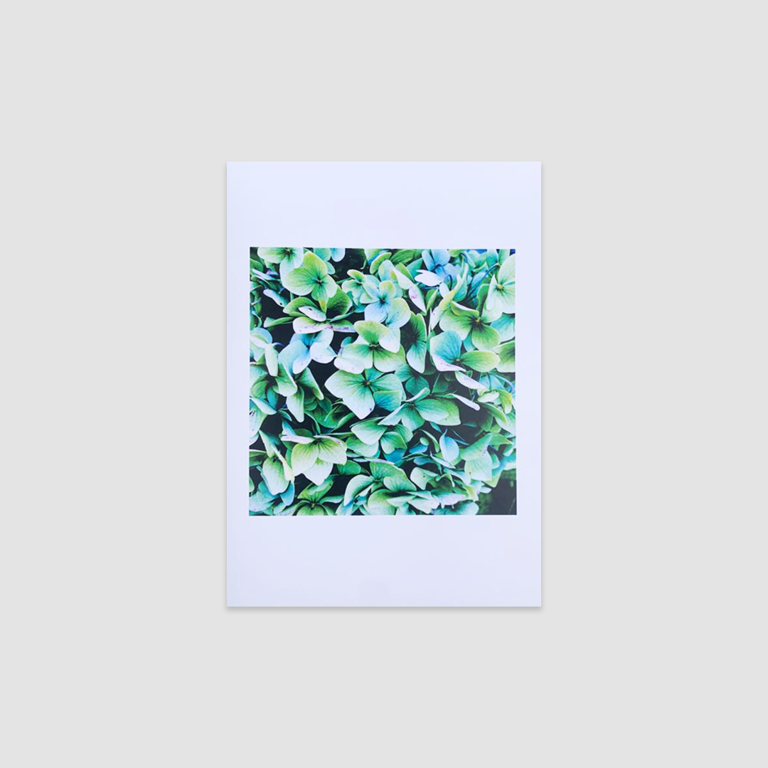 LAVENDER HONEY SALT Greetings Cards