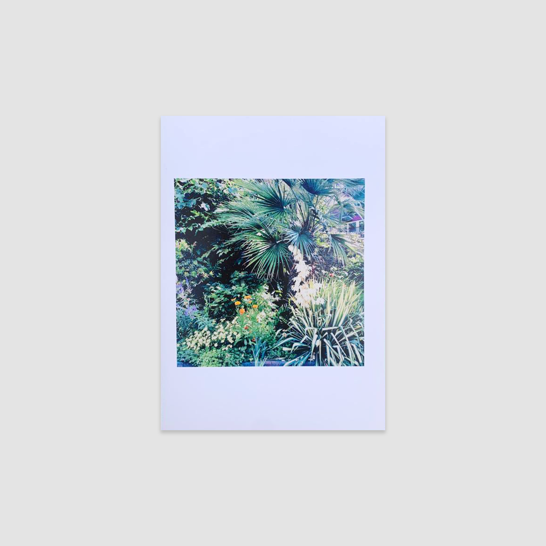 LAVENDER HONEY SALT Greetings Cards