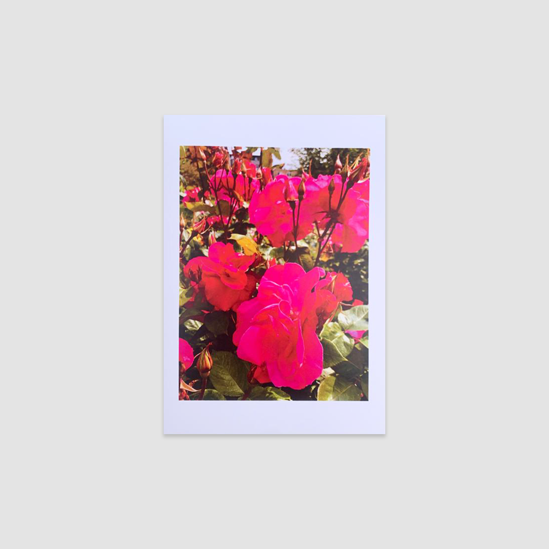 LAVENDER HONEY SALT Greetings Cards