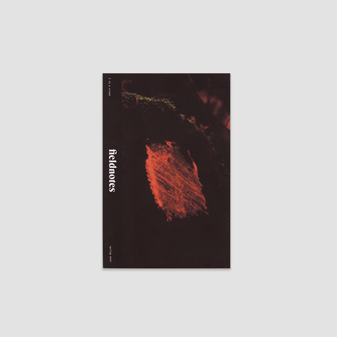 Fieldnotes