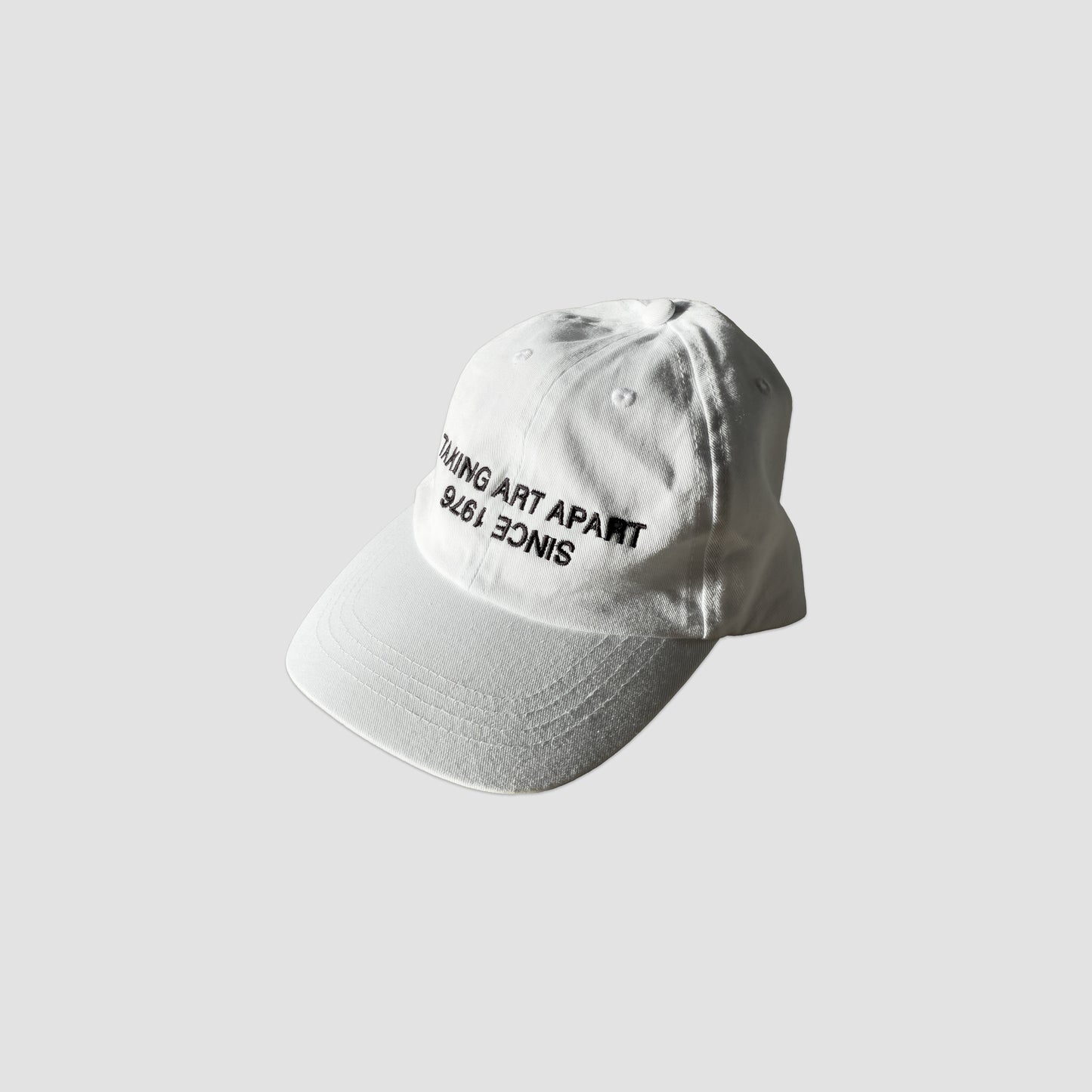 TAKING ART APART SINCE 1976 CAP