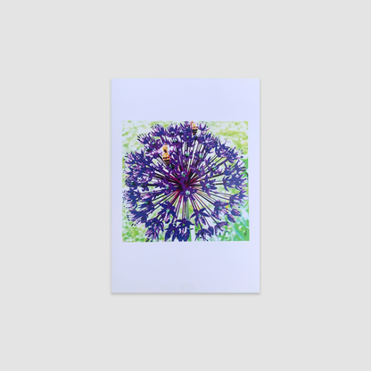 LAVENDER HONEY SALT Greetings Cards