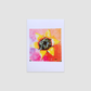 LAVENDER HONEY SALT Greetings Cards