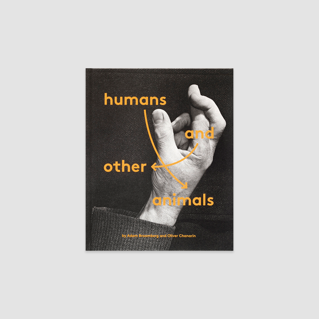 humans and other animals